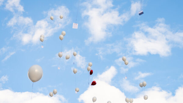Hochzeitspaket - Ballons zum steigen lassen